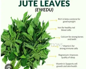 Herbal Treatment for Glaucoma, Ulcer, Asthma, Bp and Trachoma