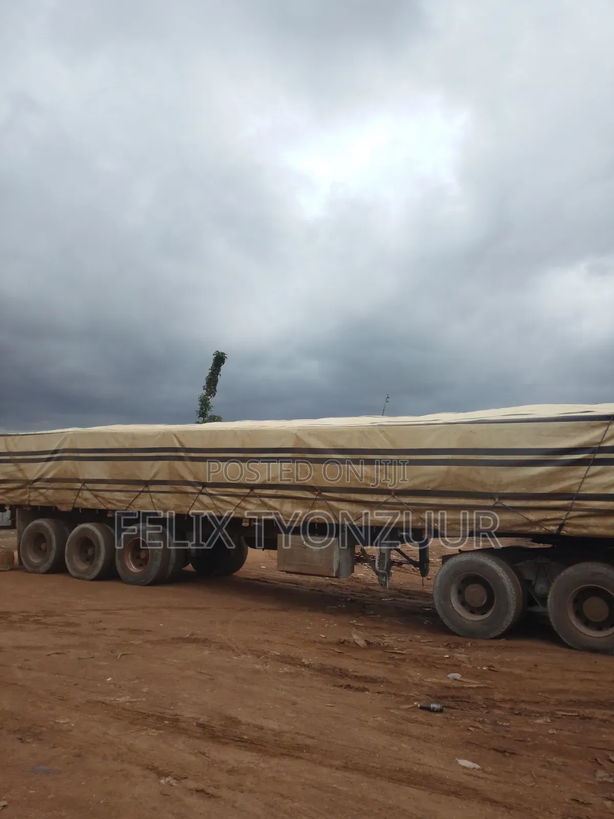 Dangote Cement 3x in Building Materials