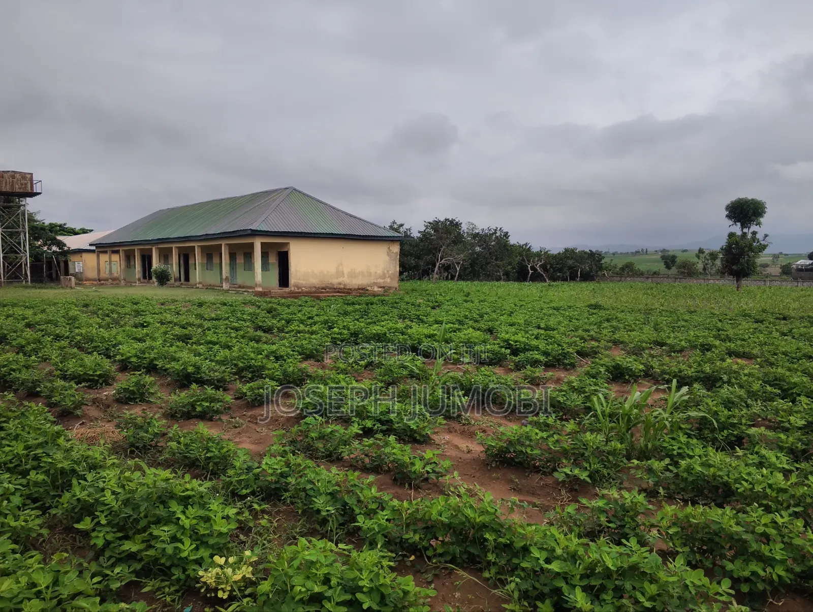 Commercial Plot