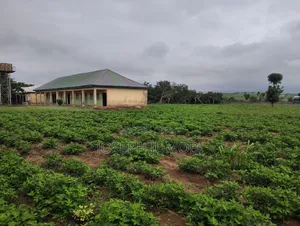 Commercial Plot