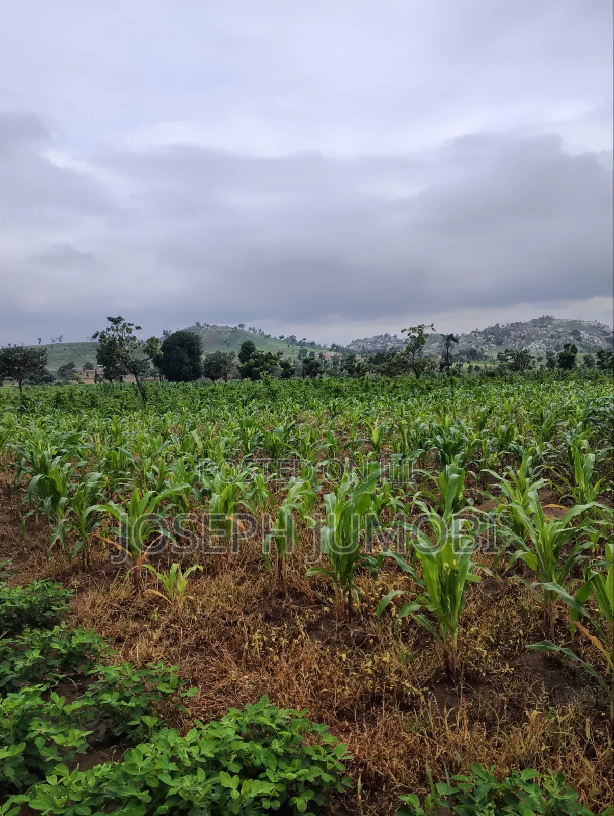 Commercial Plot