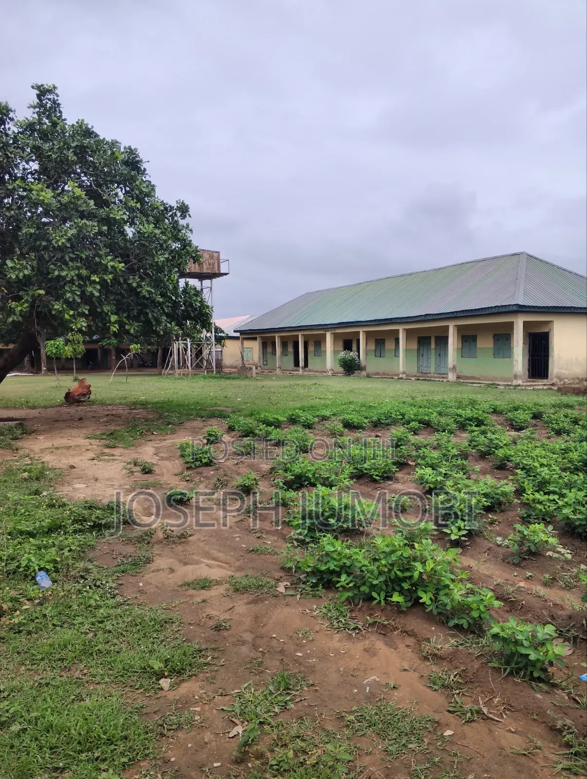 Commercial Plot