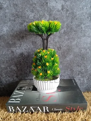 TV Console and Centre Table Flowers