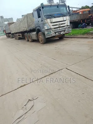Dangote and Bua Cement