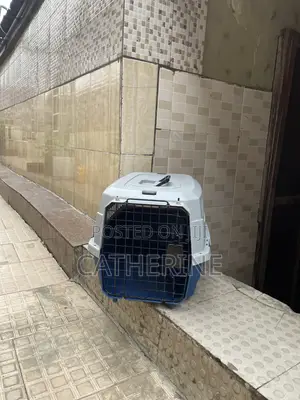 Pet Plastic Crate