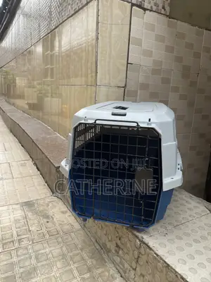 Pet Plastic Crate