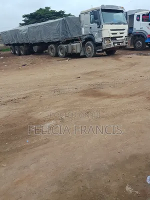 Dangote and Bua Cement Distributor