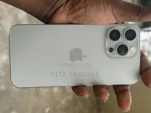Apple iPhone 15 Pro Max 256 GB Silver