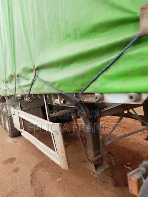 Dangote and Bua Cement