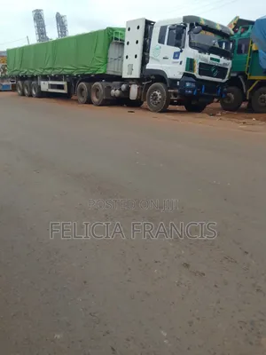 Dangote and Bua Cement