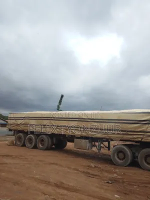 Dangote Cement PLC Distributors