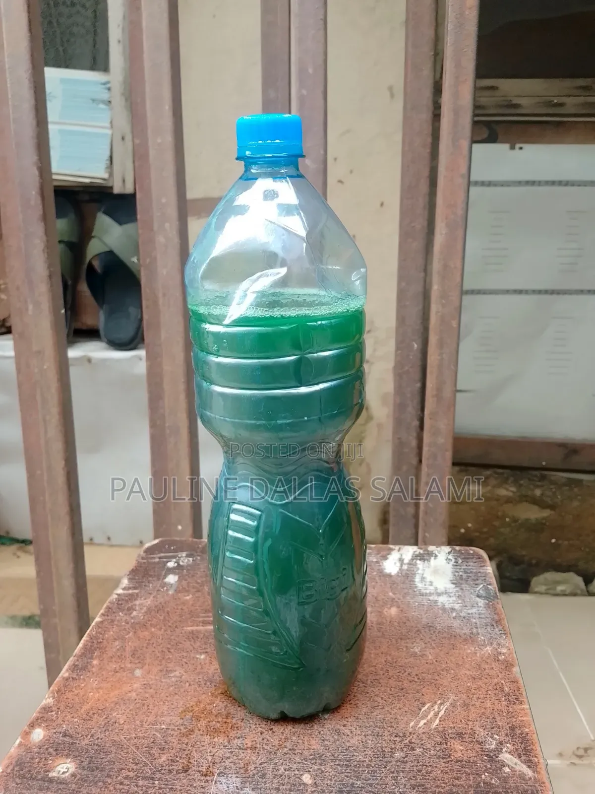 Dishwashing Liquid