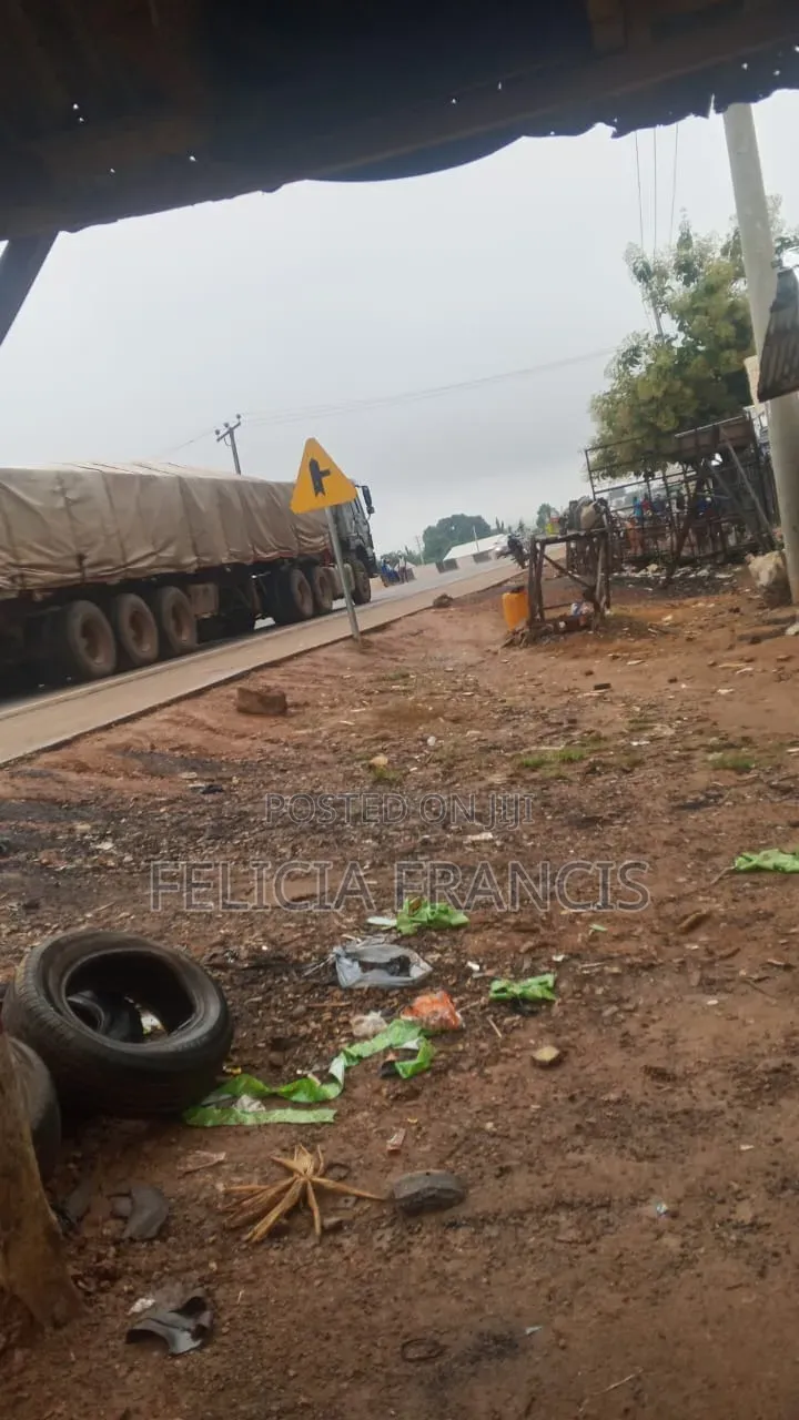 Dangote and Bua Cement