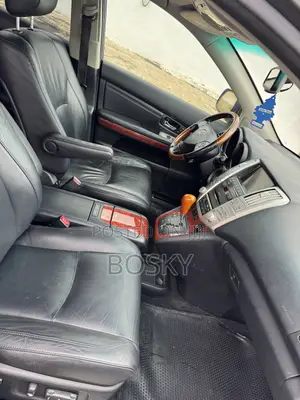 Lexus RX 2009 Black