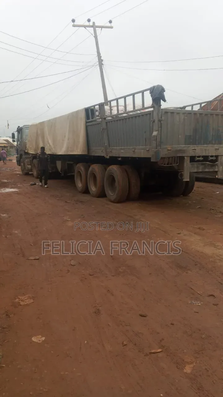 Dangote and Bua Cement