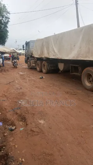 Dangote and Bua Cement