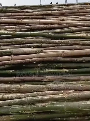 Broch Bamboo Sticks
