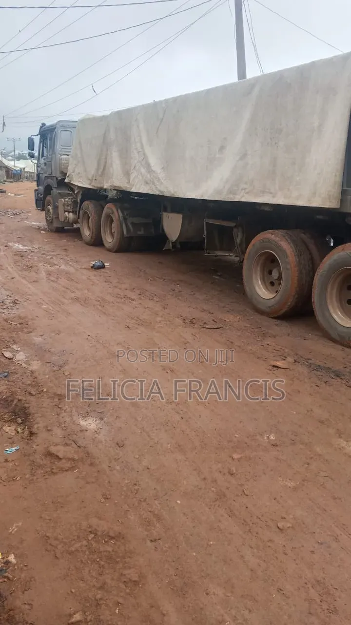 Dangote and Bua Cement
