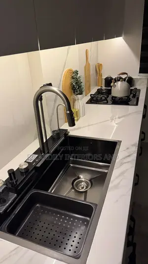 Professional Plumber