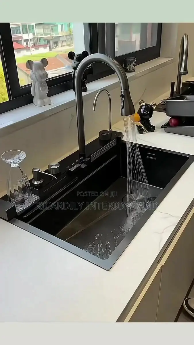 Professional Plumber