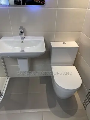 Professional Plumber