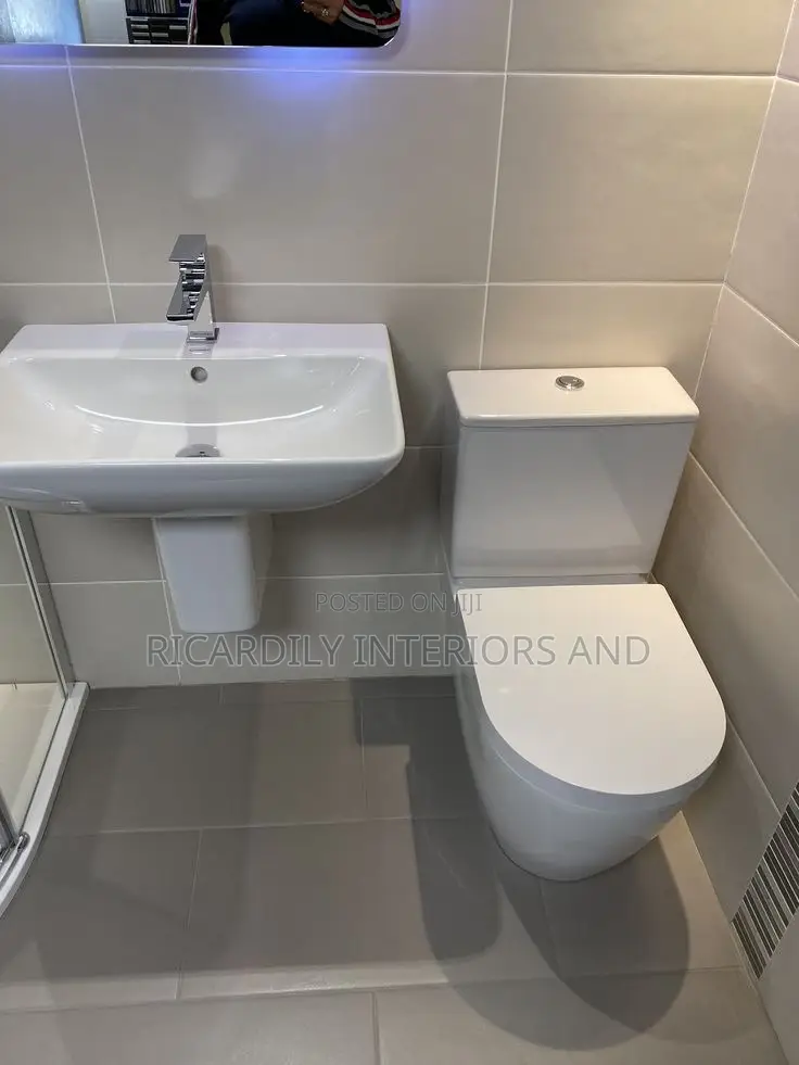 Professional Plumber