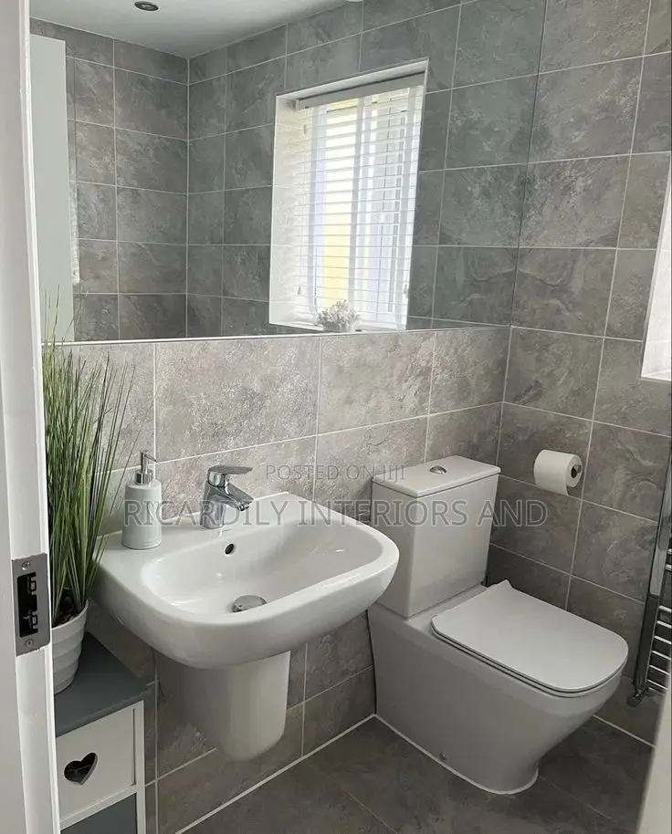 Professional Plumber