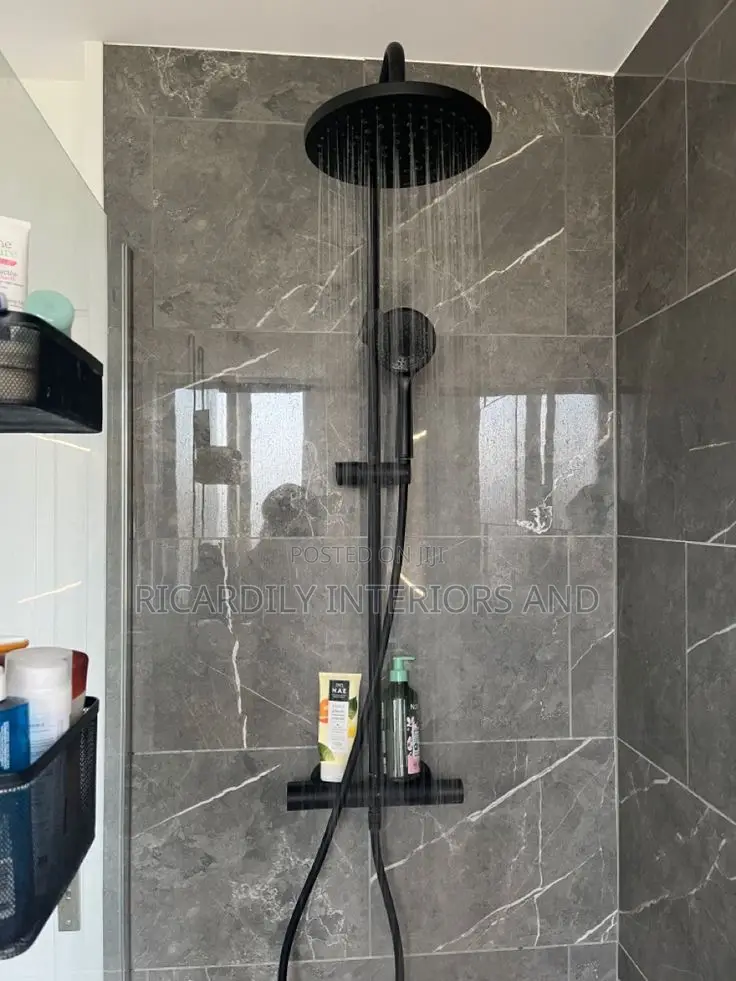 Professional Plumber