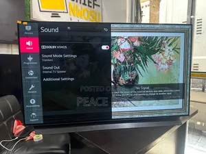 48" LG Oled C1 Evo Panel Smart TV