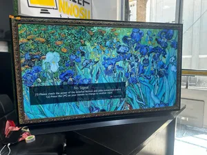 48" LG Oled C1 Evo Panel Smart TV