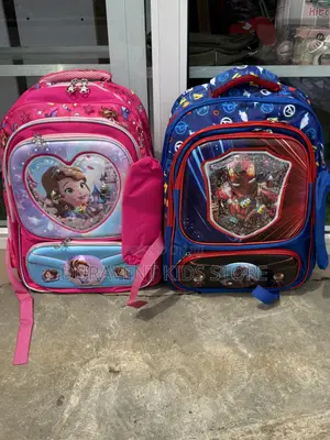 17 Inches 2 in 1 Quality Character School Bag for Upper Primary