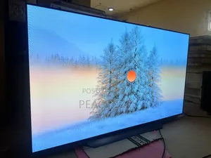 83" LG Oled C4 Display Smart TV Evo Panel
