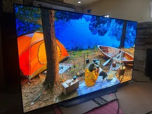 83" LG Oled C4 Display Smart TV Evo Panel