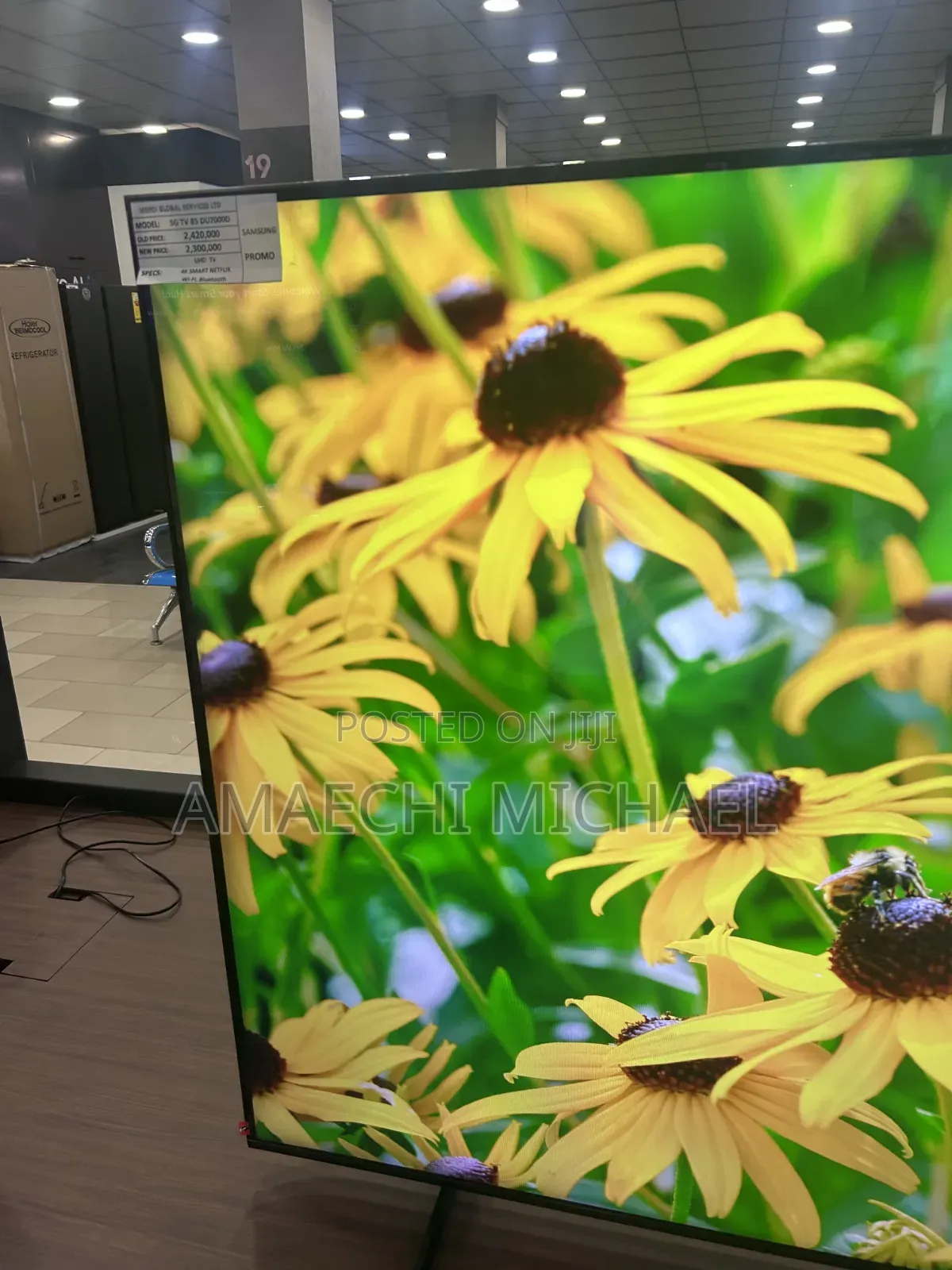 TV Screen Repair