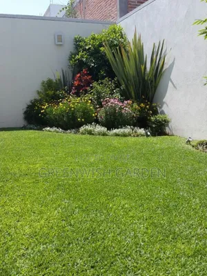 Garden and Landscaping