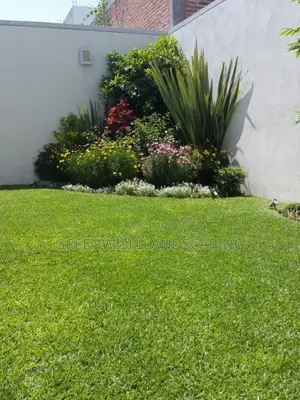 Garden and Landscaping