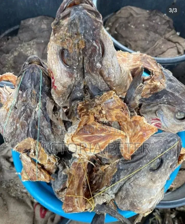 Stockfish Different Size