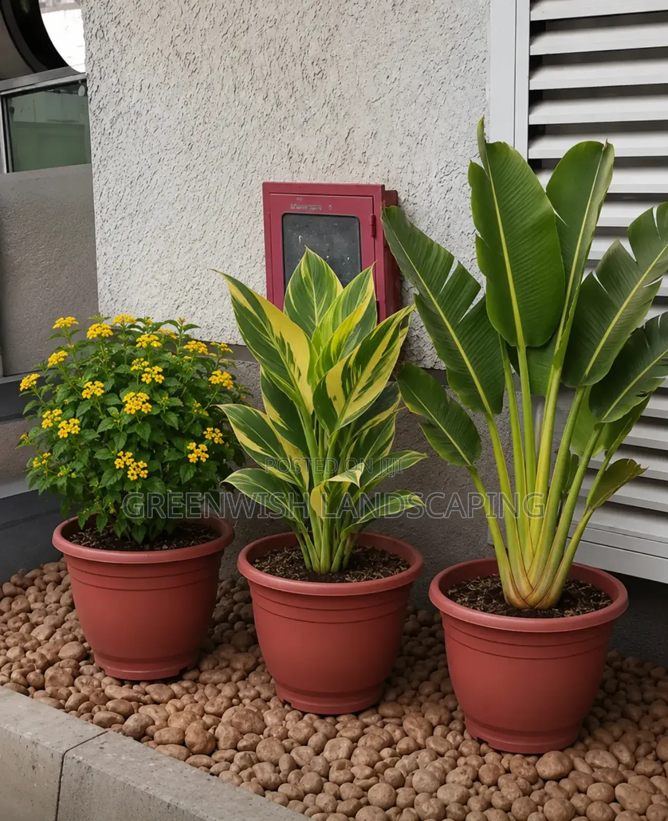 Green Area and Lawns