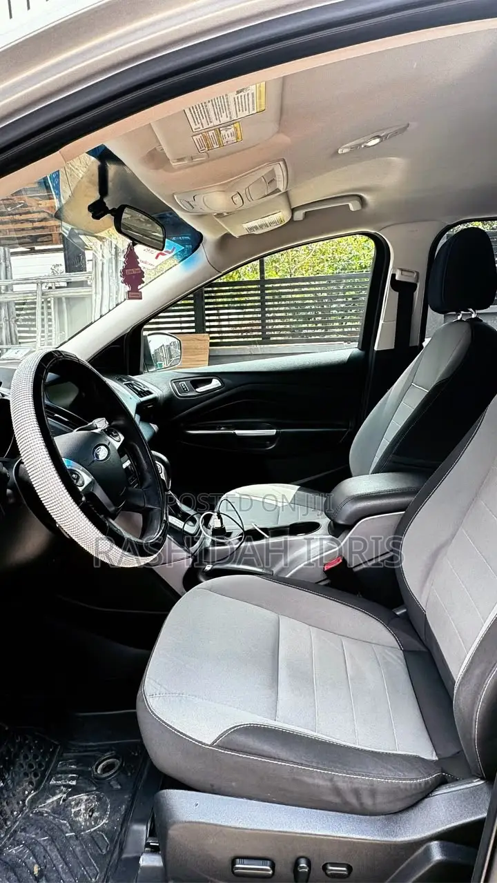 Ford Escape 2014 Silver