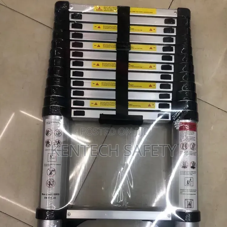 Telescope Extension Ladders