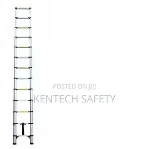 Telescope Extension Ladders