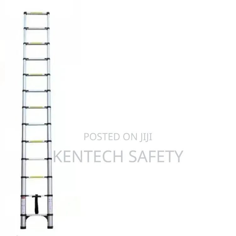 Telescope Extension Ladders