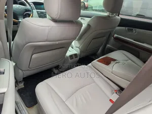 Lexus RX 2009 Gray