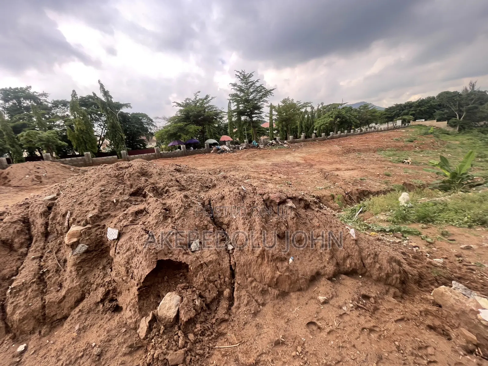 Certificate of Occupancy