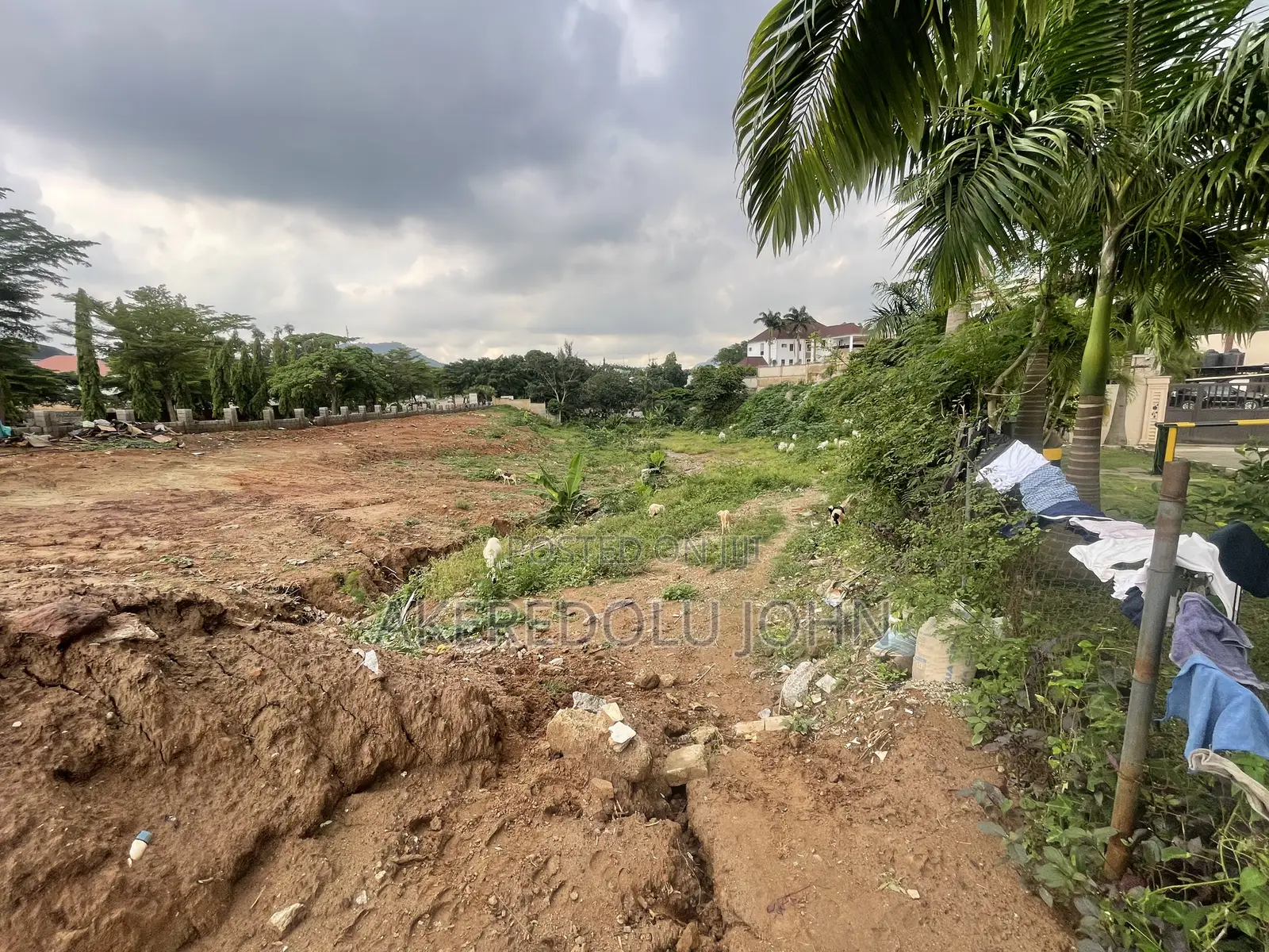 Certificate of Occupancy