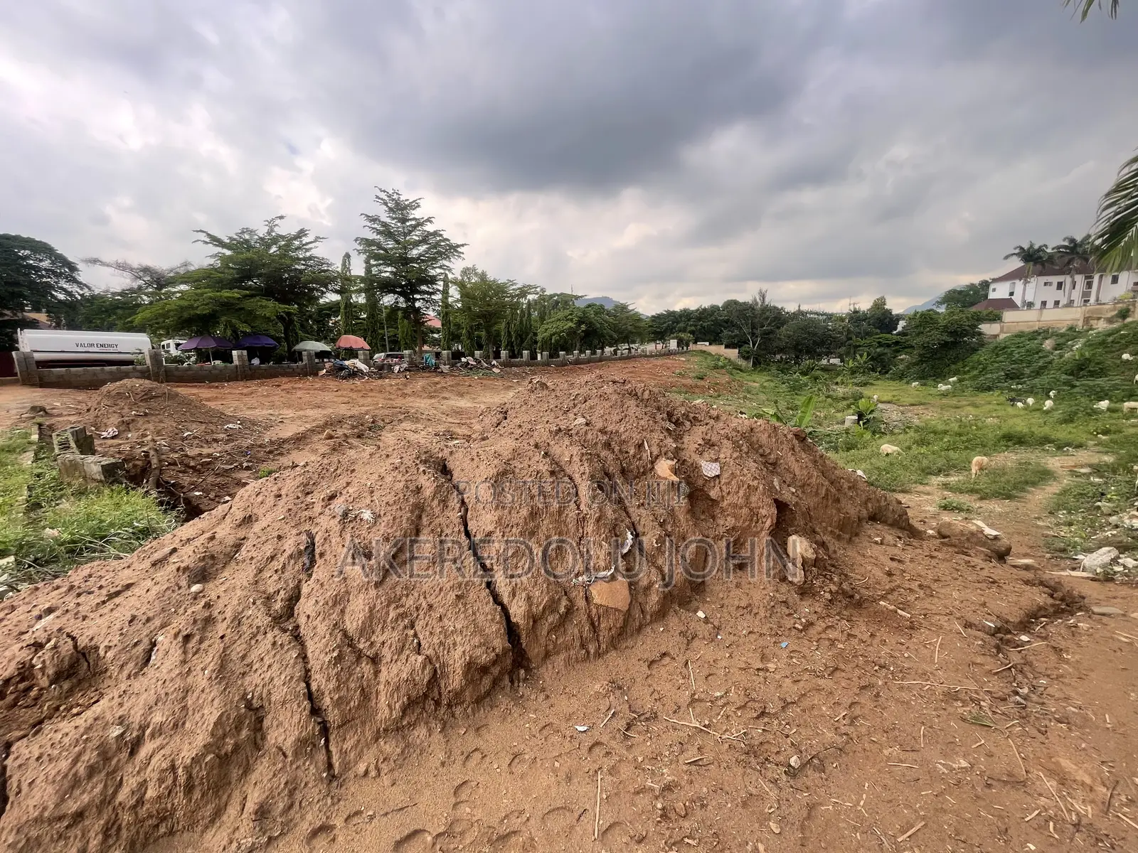 Certificate of Occupancy