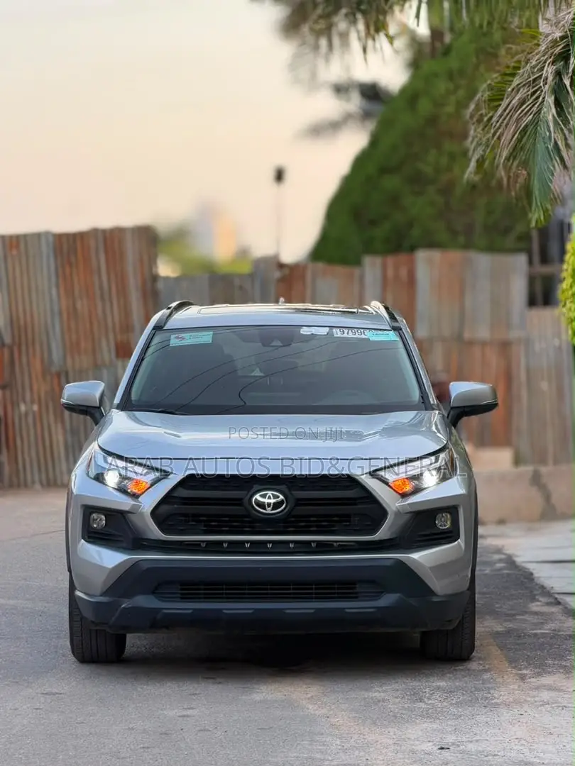 Toyota RAV4 XLE AWD 2019 Silver