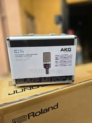 AkG Condenser Microphone