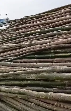 Broch Bamboo Sticks