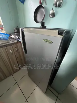 Haier THERMOCOOL Fridge and Freezer